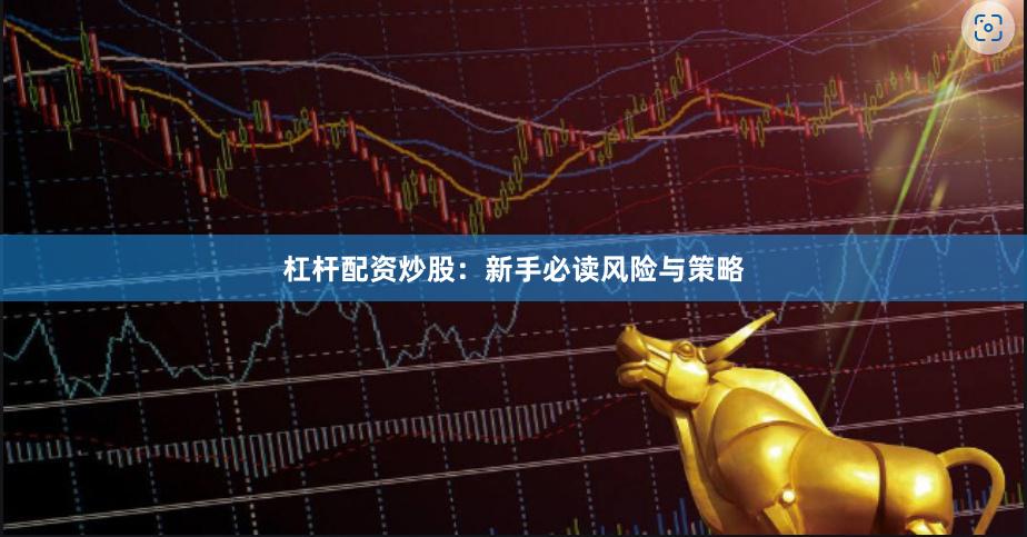 杠杆配资炒股：新手必读风险与策略