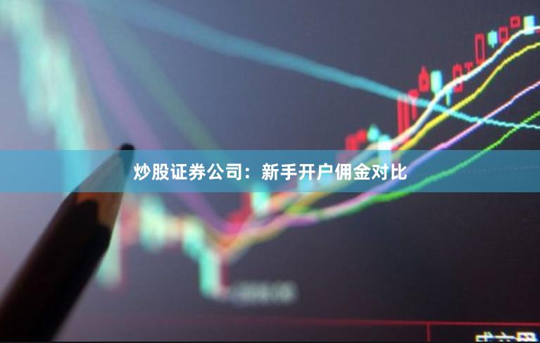 炒股证券公司：新手开户佣金对比